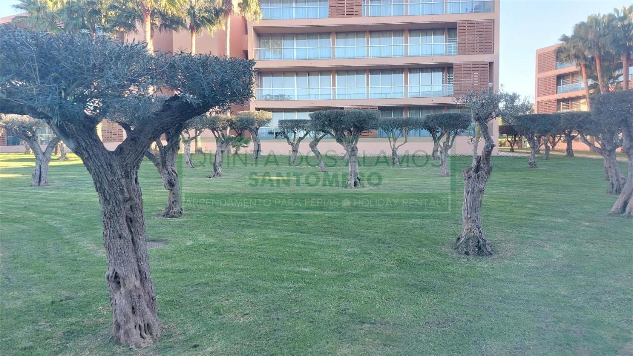 Appartement T2 Salgados